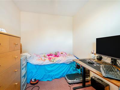 Picture 11